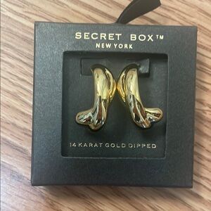 Secret Box New York Gold Earrings post